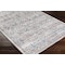 Livabliss Nolita NLT-2306 Machine Washable Area Rug NLT2306-2573 - alternate 5